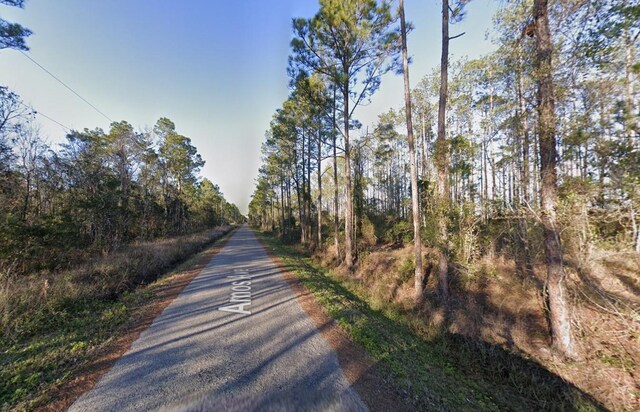 10445 Amos Ave, Hastings, FL 32145