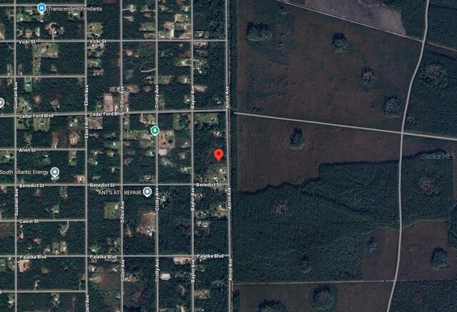 10445 Amos Ave, Hastings, FL 32145