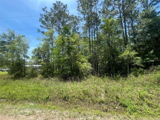 10445 Amos Ave, Hastings, FL 32145