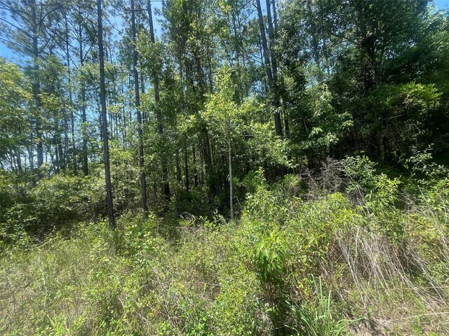 10445 Amos Ave, Hastings, FL 32145