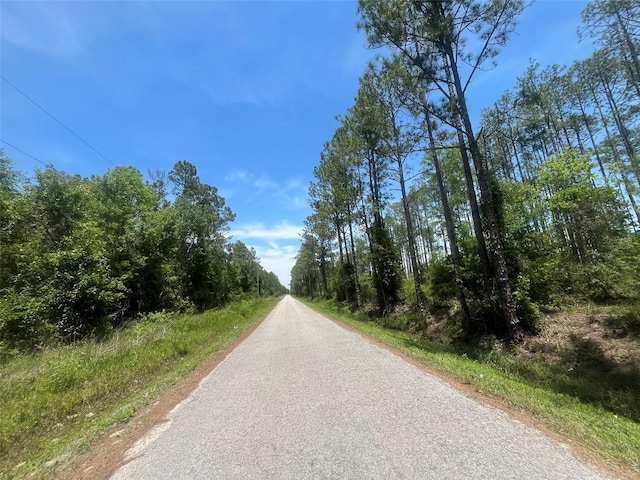 10445 Amos Ave, Hastings, FL 32145