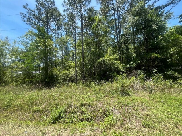 10445 Amos Ave, Hastings, FL 32145