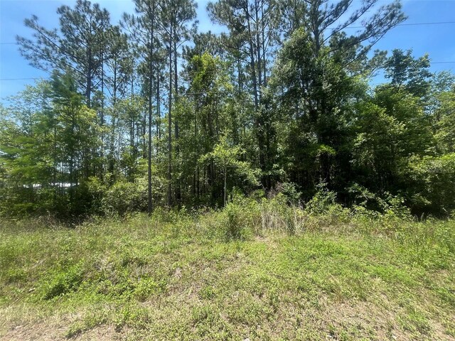 10445 Amos Ave, Hastings, FL 32145
