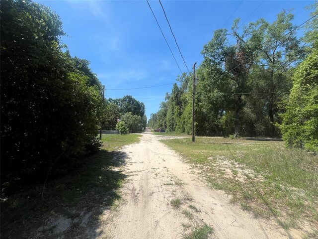 10445 Amos Ave, Hastings, FL 32145