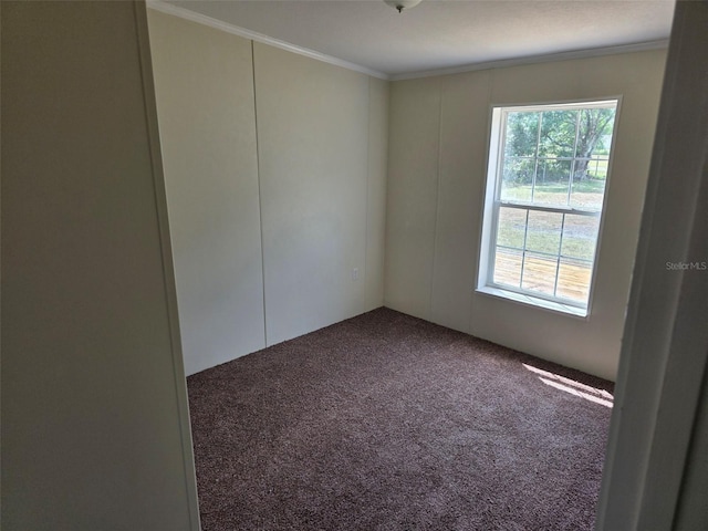 7895 NW 84th Ct, Okeechobee, FL 34972 - carpeted empty room with crown molding and a wealth of natural light