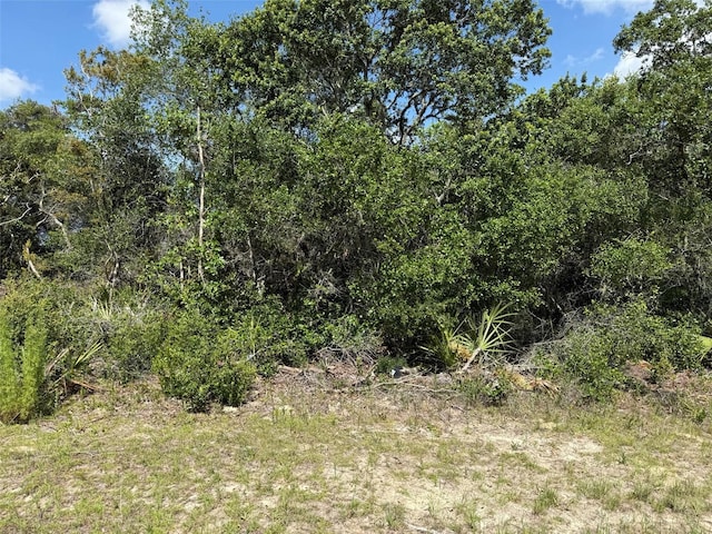 30th Terrace Rd, Ocala, FL 34473