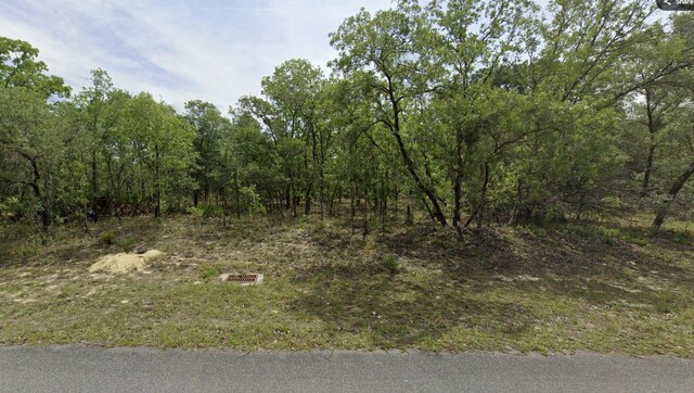 1321 W Delores Dr, Dunnellon, FL 34434 - photo 4