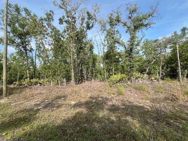 1321 W Delores Dr, Dunnellon, FL 34434 - photo 1