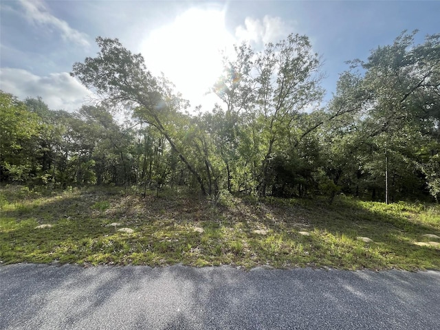 1321 W Delores Dr, Dunnellon, FL 34434 - photo 2