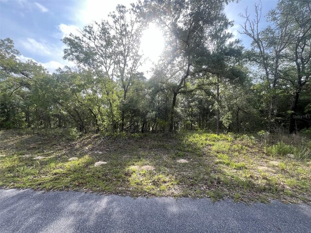1321 W Delores Dr, Dunnellon, FL 34434 - photo 3