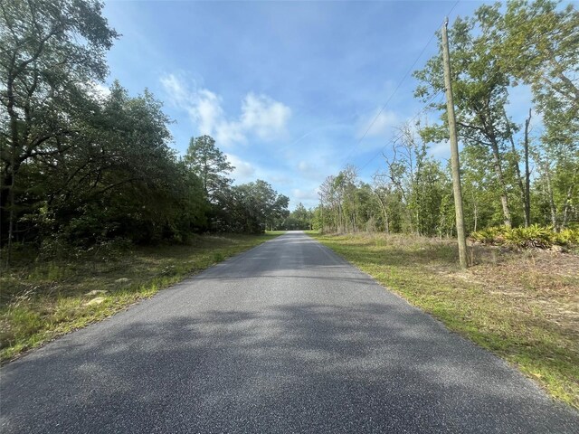 1321 W Delores Dr, Dunnellon, FL 34434 - photo 7
