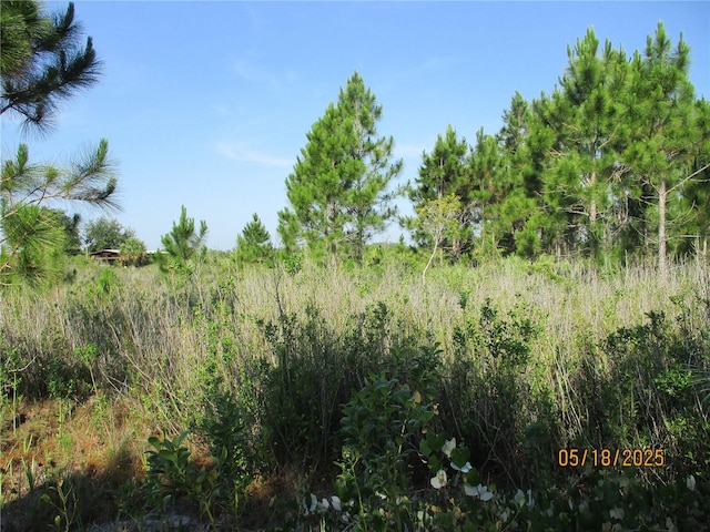 15312 NW 274th St, Okeechobee, FL 34972