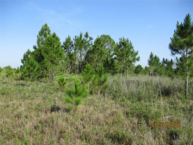15312 NW 274th St, Okeechobee, FL 34972