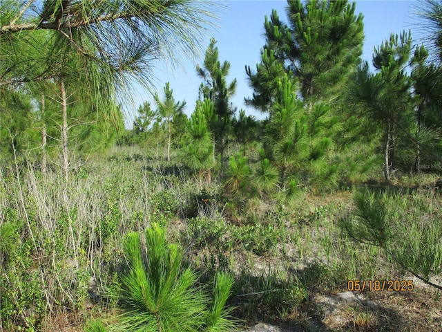 15312 NW 274th St, Okeechobee, FL 34972