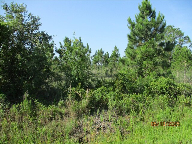 15312 NW 274th St, Okeechobee, FL 34972