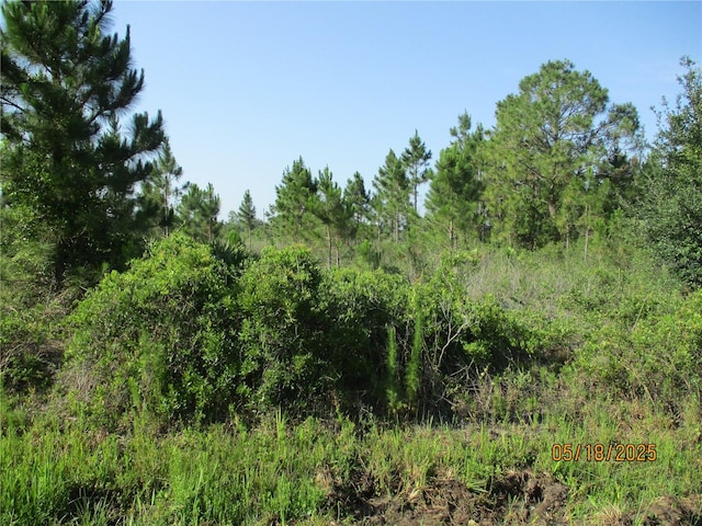 15312 NW 274th St, Okeechobee, FL 34972