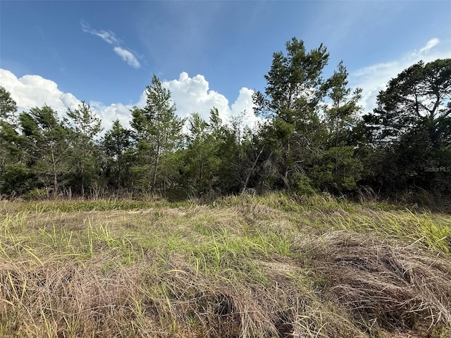 2921 W Seville Dr, Avon Park, FL 33825 - photo 1