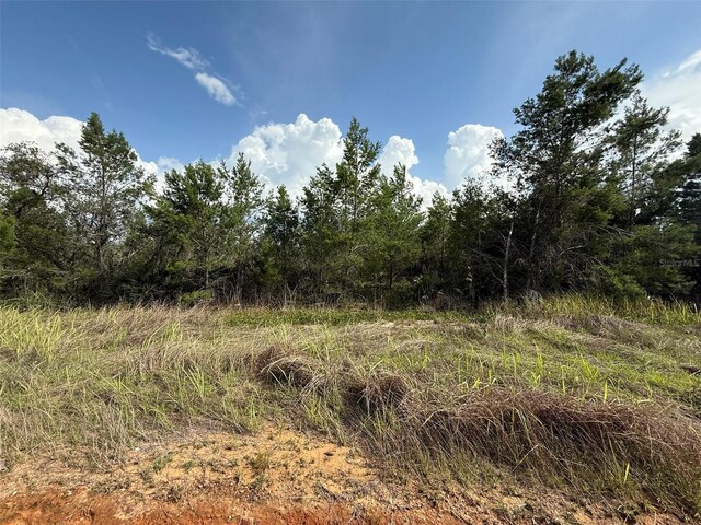 2921 W Seville Dr, Avon Park, FL 33825 - photo 4