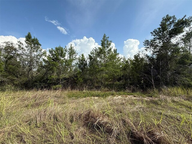 2921 W Seville Dr, Avon Park, FL 33825 - photo 5