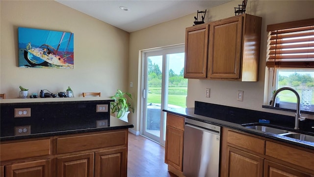 16159 NW 258th St, Okeechobee, FL 34972 - kitchen featuring stainless steel dishwasher, a sink, light wood-style flooring, brown cabinets, and healthy amount of natural light