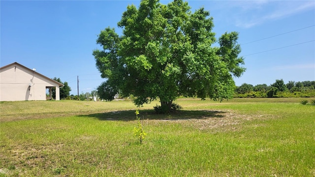 16159 NW 258th St, Okeechobee, FL 34972 - view of green lawn