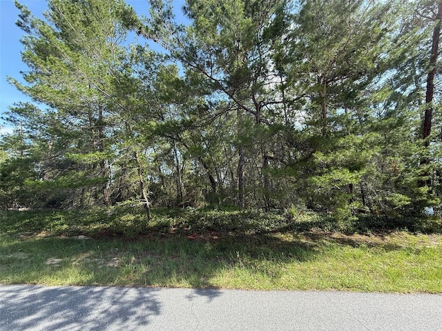 176th St, Ocala, FL 34473 - photo 1