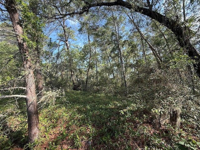 176th St, Ocala, FL 34473 - photo 2