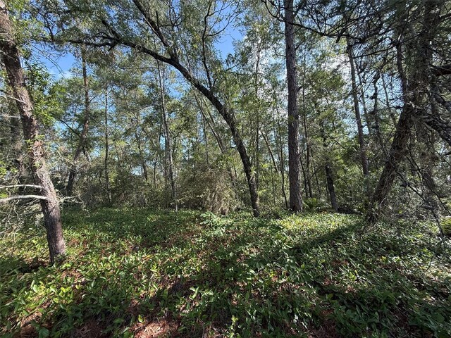 176th St, Ocala, FL 34473 - photo 3