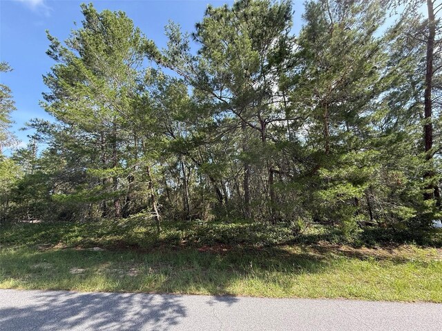 176th St, Ocala, FL 34473 - photo 5