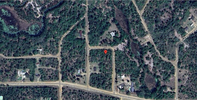 111 Brass St, Interlachen, FL 32148