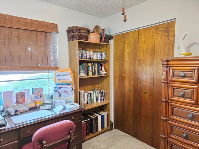 7740 NW 81st Ct, Okeechobee, FL 34972 - office space with a textured ceiling and carpet flooring