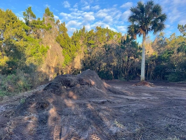 4427 Lawrence Rd, Mims, FL 32754 - photo 2