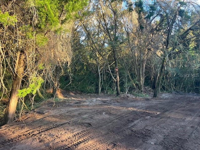 4427 Lawrence Rd, Mims, FL 32754 - photo 6