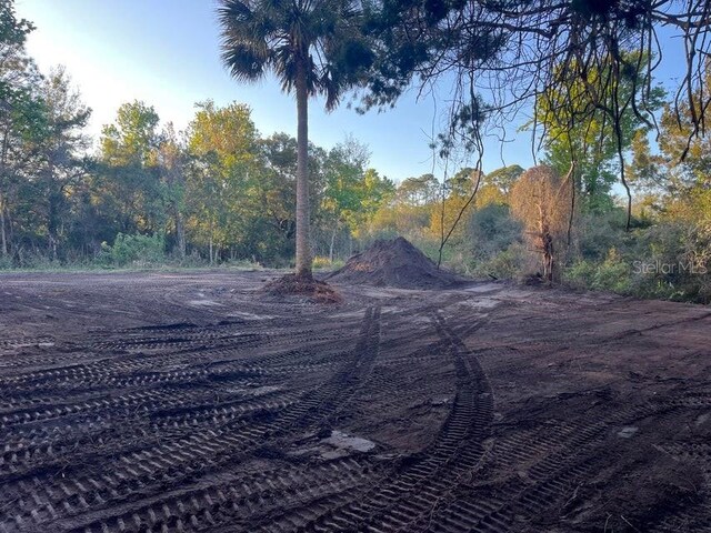 4427 Lawrence Rd, Mims, FL 32754 - photo 8