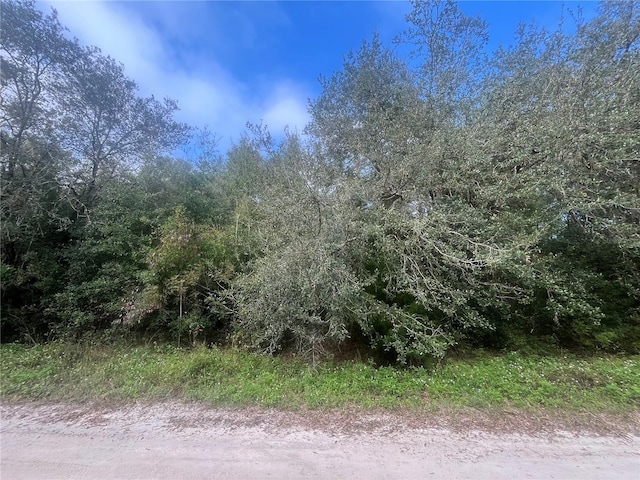 SW 132nd Ave, Dunnellon, FL 34432