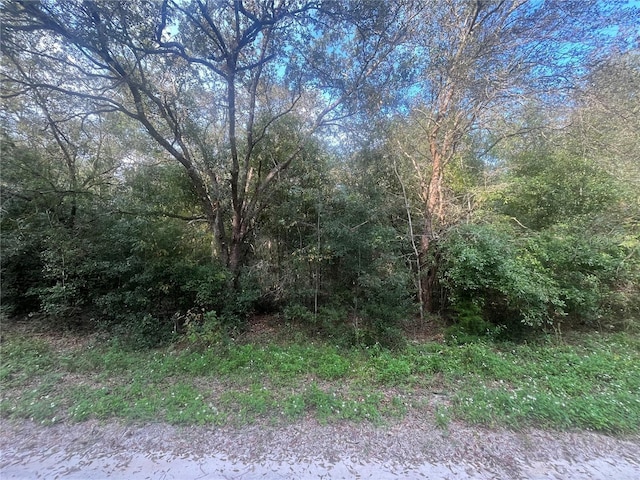 SW 132nd Ave, Dunnellon, FL 34432