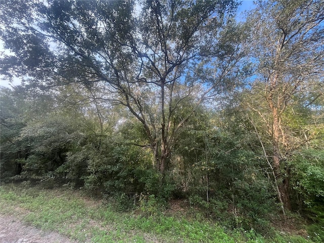 SW 132nd Ave, Dunnellon, FL 34432