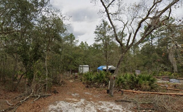 Hurley, Interlachen, FL 32148 - photo 10