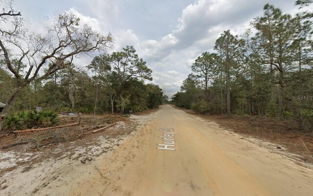 Hurley, Interlachen, FL 32148 - photo 11