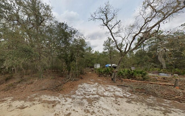 Hurley, Interlachen, FL 32148 - photo 12