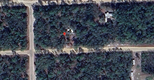 Hurley, Interlachen, FL 32148 - photo 13