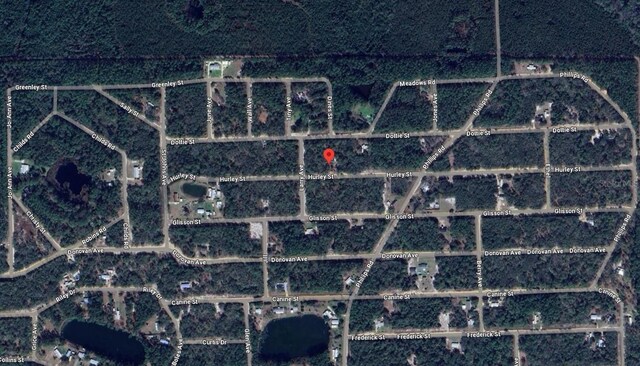 Hurley, Interlachen, FL 32148 - photo 16