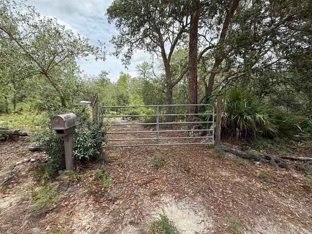 Hurley, Interlachen, FL 32148 - photo 1