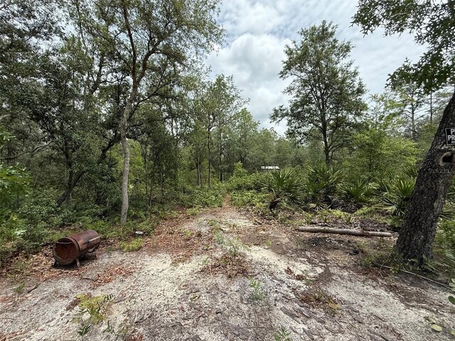 Hurley, Interlachen, FL 32148 - photo 5