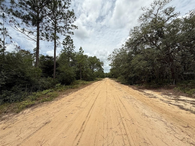 Hurley, Interlachen, FL 32148 - photo 6