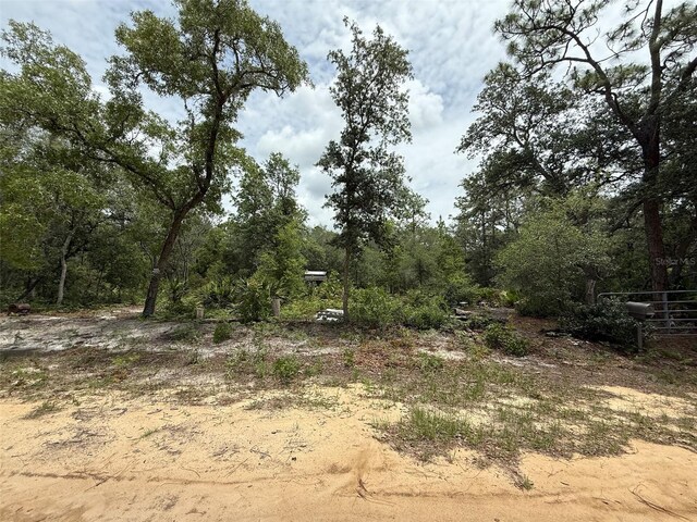 Hurley, Interlachen, FL 32148 - photo 7