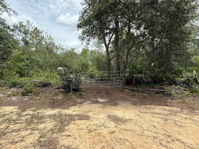 Hurley, Interlachen, FL 32148 - photo 8