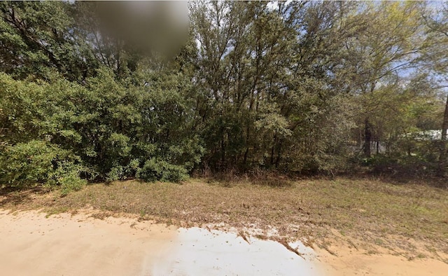 604 Kitty, Interlachen, FL 32148