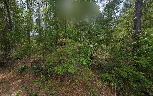 151 Arden St, Georgetown, FL 32139