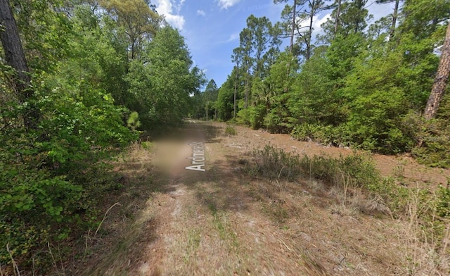 151 Arden St, Georgetown, FL 32139